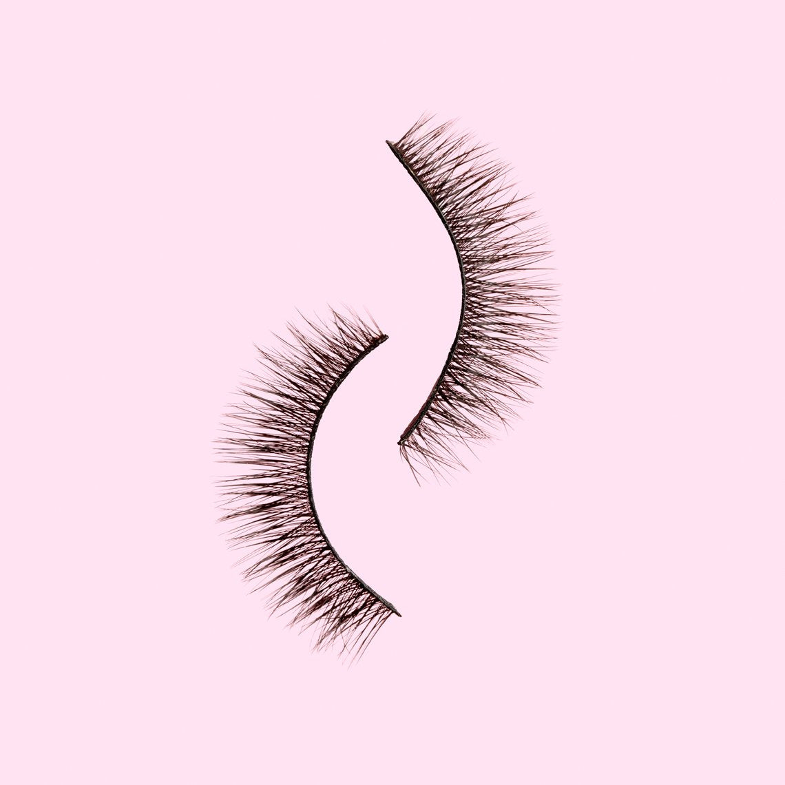 Master Of Lashes Addict