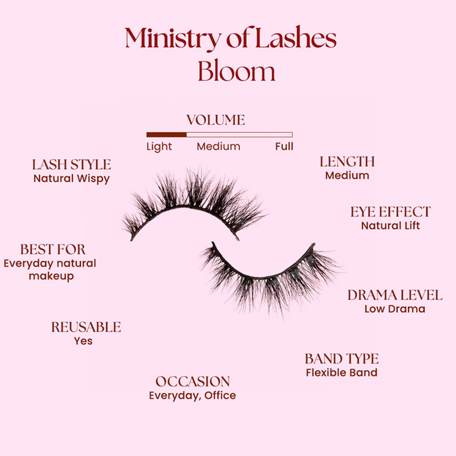 Ministry Of Lashes Bloom