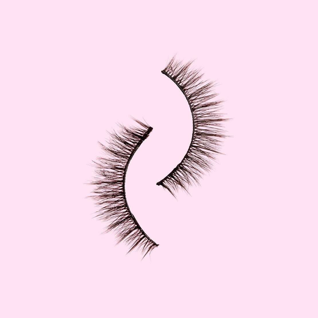 Master Of Lashes Muse