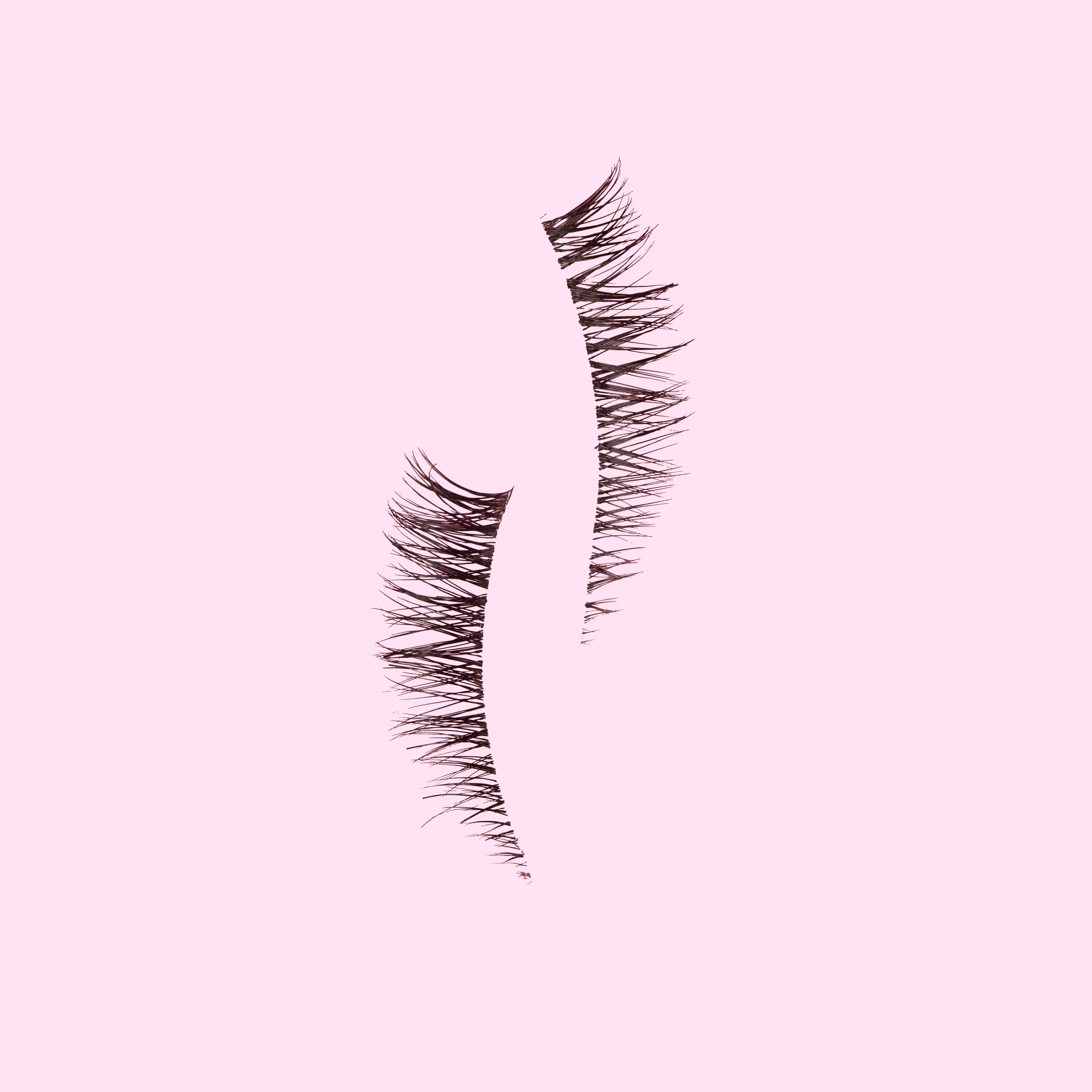 MASTER OF LASHES - ELIO