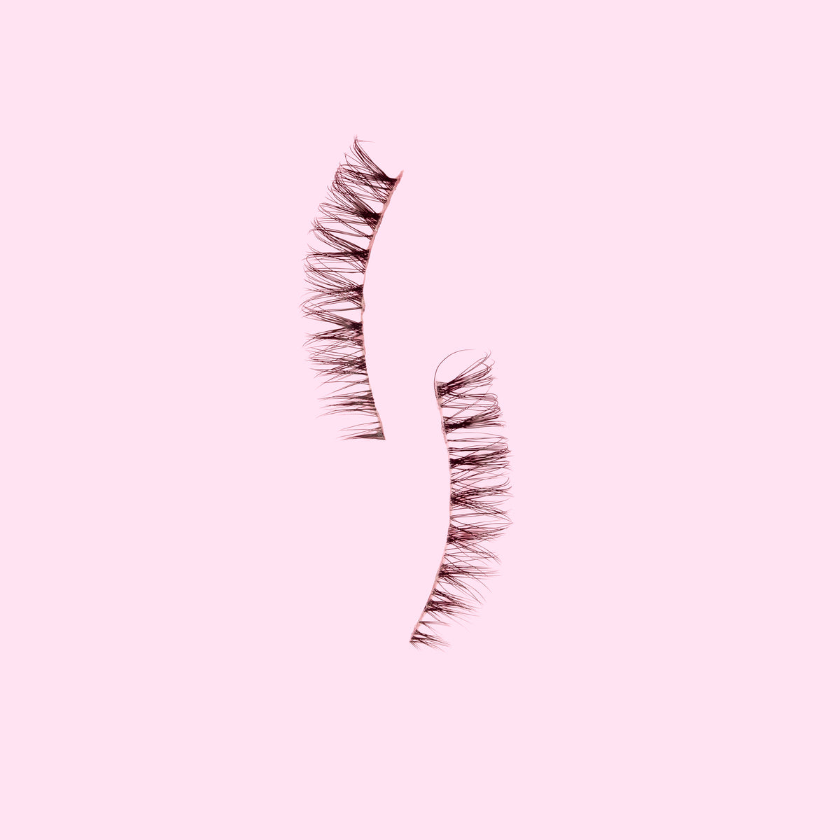 ATELIER OF LASHES – SHEER (5 PAIRS)